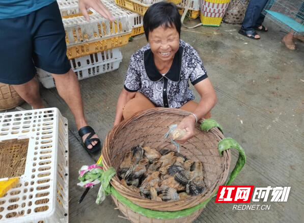 QQ截图20240802141620.jpg QQ截图20240802141620.jpg